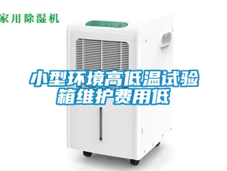 常見問題小型環境高低溫試驗箱維護費用低
