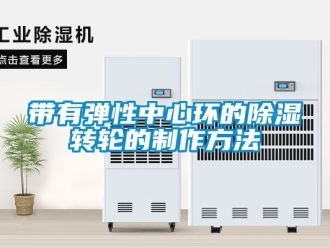 常見問題帶有彈性中心環的除濕轉輪的制作方法