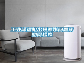 常見問題工業除濕機出現漏水問題該如何檢修