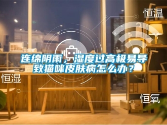 常見問題連綿陰雨，濕度過高極易導致貓咪皮膚病怎么辦？