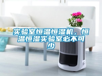 知識百科實驗室恒溫恒濕機，恒溫恒濕實驗室必不可少
