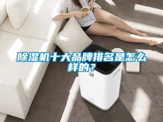 企業新聞除濕機十大品牌排名是怎么樣的？