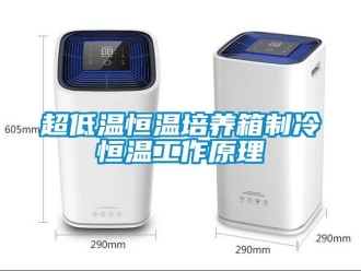 知識百科超低溫恒溫培養箱制冷恒溫工作原理