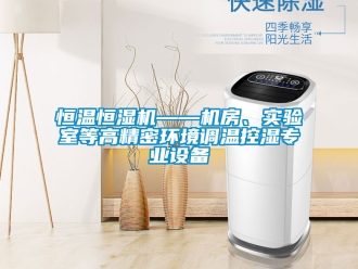 知識百科恒溫恒濕機——機房、實驗室等高精密環境調溫控濕專業設備