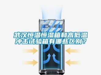 知識百科武漢恒溫恒濕箱和高低溫沖擊試驗箱有哪些區別？