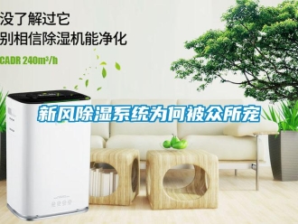 知識百科新風除濕系統為何被眾所寵