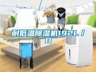 行業新聞耐低溫除濕機192L／D