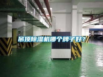 企業新聞吊頂除濕機哪個牌子好？