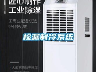 行業新聞檢漏制冷系統
