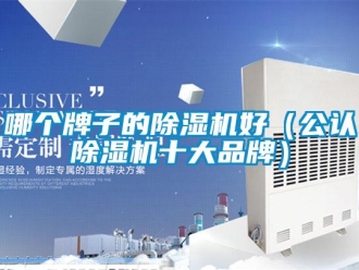 企業新聞哪個牌子的除濕機好（公認除濕機十大品牌）