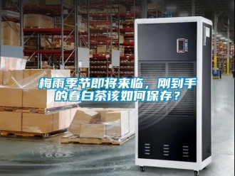 常見問題梅雨季節即將來臨，剛到手的春白茶該如何保存？