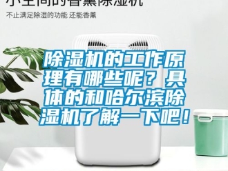 企業新聞除濕機的工作原理有哪些呢？具體的和哈爾濱除濕機了解一下吧！