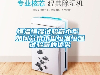 知識百科恒溫恒濕試驗箱小型 如何分辨小型恒溫恒濕試驗箱的優劣