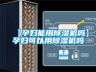 企業新聞【孕婦能用除濕機嗎】孕婦可以用除濕機嗎