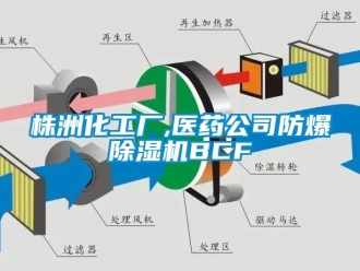 企業新聞株洲化工廠,醫藥公司防爆除濕機BCF
