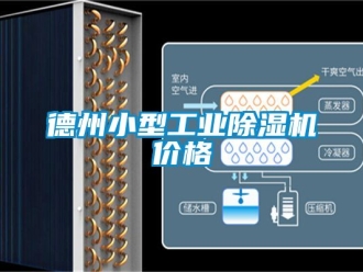 常見問題德州小型工業除濕機價格