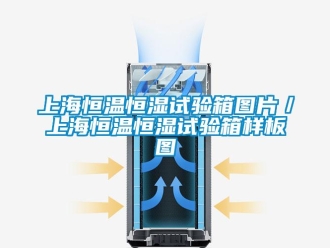知識百科上海恒溫恒濕試驗箱圖片／上海恒溫恒濕試驗箱樣板圖