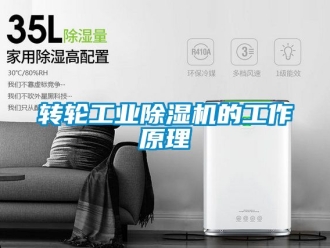 常見問題轉輪工業除濕機的工作原理