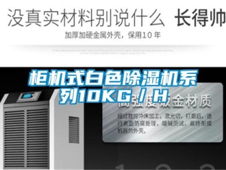 行業新聞柜機式白色除濕機系列10KG／H