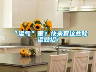 常見問題“濕氣”重？快來看這些除濕妙招！
