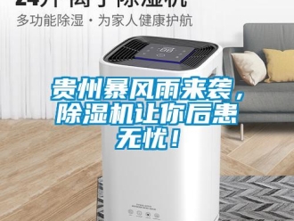 行業新聞貴州暴風雨來襲，除濕機讓你后患無憂！
