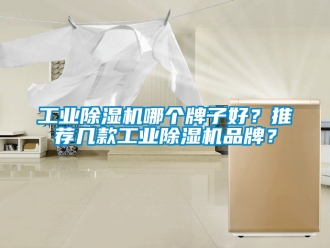 常見問題工業除濕機哪個牌子好？推薦幾款工業除濕機品牌？