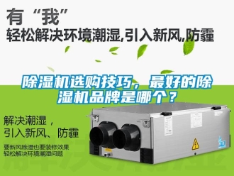 企業新聞除濕機選購技巧，最好的除濕機品牌是哪個？