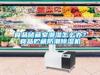 行業新聞食品儲藏室潮濕怎么辦？食品貯藏防潮除濕機