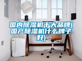 企業新聞國內除濕機十大品牌(國產除濕機什么牌子好)