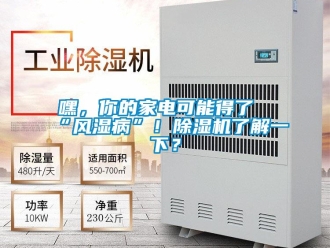 行業新聞嘿，你的家電可能得了“風濕病”！除濕機了解一下？