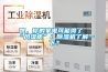 嘿，你的家電可能得了“風濕病”！除濕機了解一下？