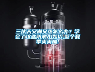 常見問題三伏天又潮又熱怎么辦？學會了這些防潮小妙招,整個夏季爽爽噠!