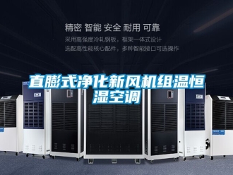 知識百科直膨式凈化新風機組溫恒濕空調