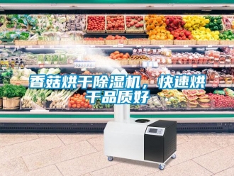 知識百科香菇烘干除濕機，快速烘干品質好