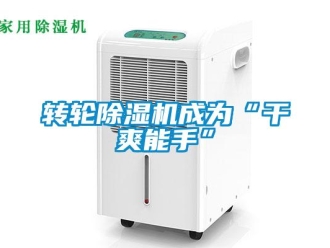 知識百科轉輪除濕機成為“干爽能手”