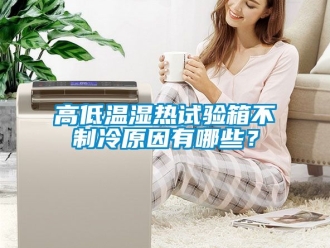 常見問題高低溫濕熱試驗箱不制冷原因有哪些？