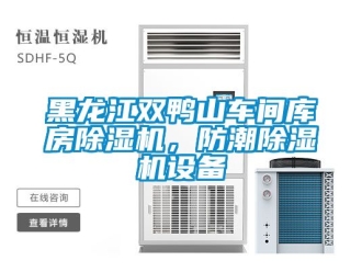 企業新聞黑龍江雙鴨山車間庫房除濕機，防潮除濕機設備