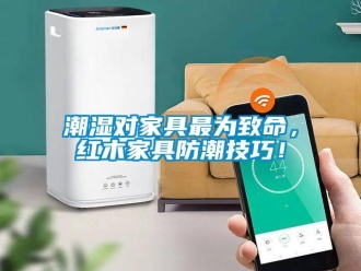 企業新聞潮濕對家具最為致命，紅木家具防潮技巧！
