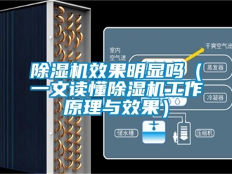 行業新聞除濕機效果明顯嗎（一文讀懂除濕機工作原理與效果）