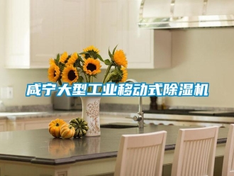 常見問題咸寧大型工業移動式除濕機