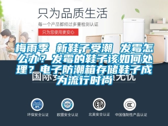 常見問題梅雨季 新鞋子受潮 發霉怎么辦？發霉的鞋子該如何處理？電子防潮箱存儲鞋子成為流行時尚