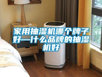企業新聞家用抽濕機哪個牌子好—什么品牌的抽濕機好