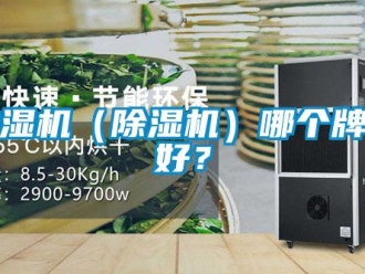 企業新聞抽濕機（除濕機）哪個牌子好？
