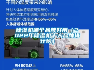 企業新聞除濕機哪個品牌好用（2022年除濕機十大品牌排行榜）