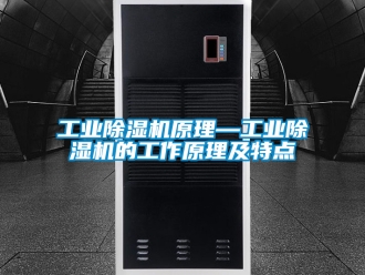 常見問題工業除濕機原理—工業除濕機的工作原理及特點