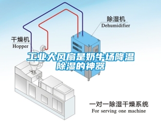 企業新聞工業大風扇是奶牛場降溫除濕的神器