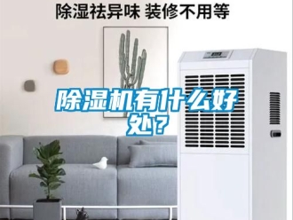 行業新聞除濕機有什么好處？