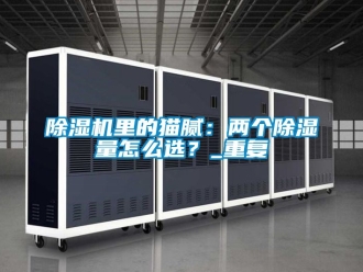 行業新聞除濕機里的貓膩：兩個除濕量怎么選？_重復