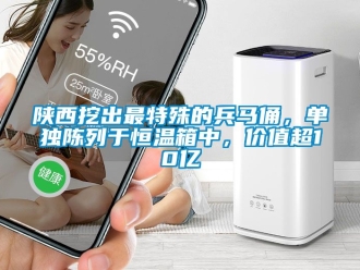 知識百科陜西挖出最特殊的兵馬俑，單獨陳列于恒溫箱中，價值超10億