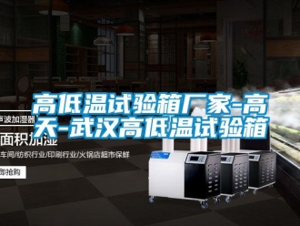 常見問題高低溫試驗箱廠家-高天-武漢高低溫試驗箱